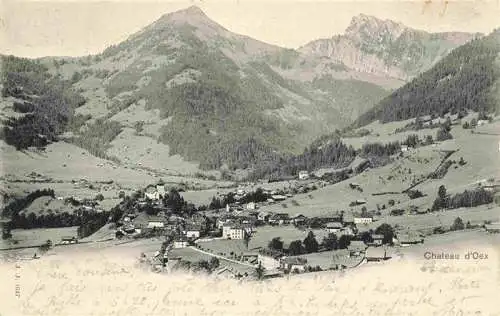 AK / Ansichtskarte  Chateau-d_Oex_VD Panorama
