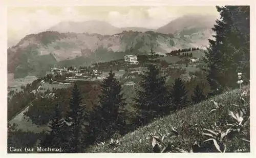 AK / Ansichtskarte  Caux_Montreux_VD Panorama