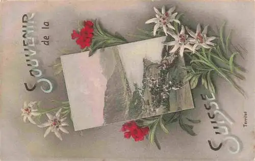 AK / Ansichtskarte  Territet_Montreux_VD Panorama