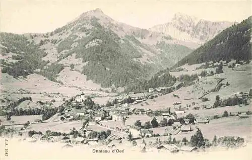 AK / Ansichtskarte  Chateau-d_Oex_VD Panorama