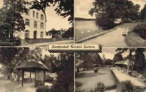 AK / Ansichtskarte  Reinfeld_Holstein Karpfenstadt Reinfeld Kurheim Park Pavillon