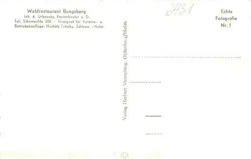 AK / Ansichtskarte  Bungsberg_Schoenwalde_am_Bungsberg_Schleswig-Holstein Waldrestaurant Bungsberg Gastraeume Aussichtsturm 