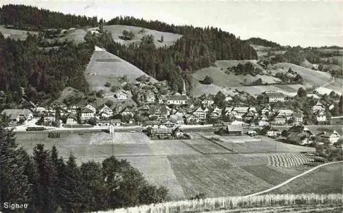 AK / Ansichtskarte  Signau_BE Panorama