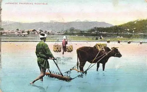 AK / Ansichtskarte 73987780 Japan Japanese preparing ricefield