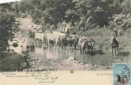 AK / Ansichtskarte 73987829 Tasmania_Australia At the Ford Series 8 Country Life