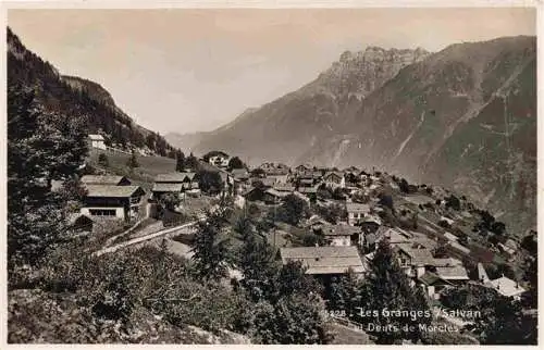 AK / Ansichtskarte  Les_Granges_sur_Salvan_VS Panorama et Dents de Morcles