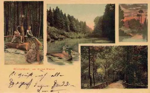 AK / Ansichtskarte  WINTERTHUR__ZH Partie am Walke Weiher Wildenten Waldpartie