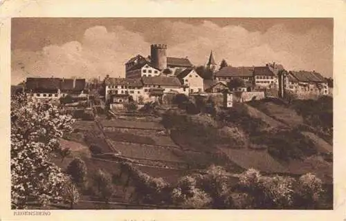 AK / Ansichtskarte  Regensberg_Dielsdorf_ZH Panorama