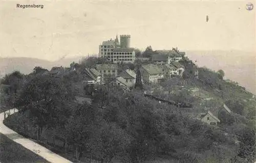 AK / Ansichtskarte  Regensberg_Dielsdorf_ZH Panorama