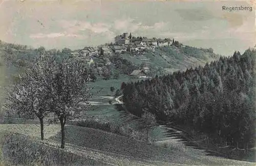 AK / Ansichtskarte  Regensberg_Dielsdorf_ZH Panorama