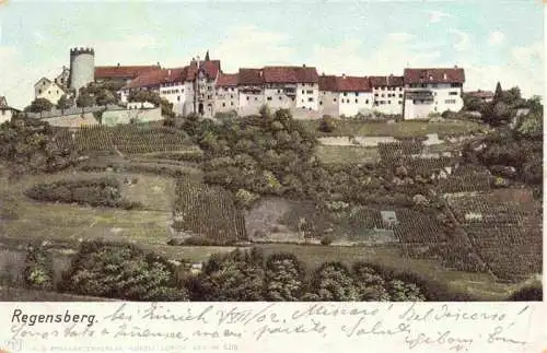 AK / Ansichtskarte  Regensberg_Dielsdorf_ZH Panorama