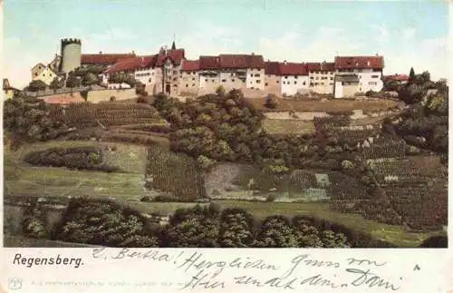AK / Ansichtskarte  Regensberg_Dielsdorf_ZH Panorama