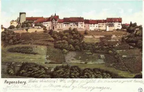 AK / Ansichtskarte  Regensberg_Dielsdorf_ZH Panorama