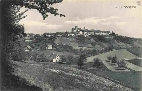 AK / Ansichtskarte  Regensberg_Dielsdorf_ZH Panorama