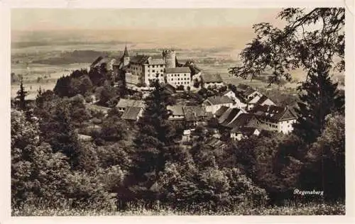 AK / Ansichtskarte  Regensberg_Dielsdorf_ZH Panorama