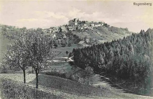 AK / Ansichtskarte  Regensberg_Dielsdorf_ZH Panorama