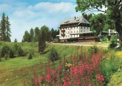 AK / Ansichtskarte  Notschrei_Todtnau Waldhotel am Notschrei