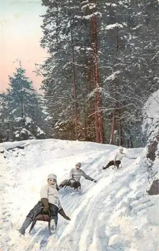 AK / Ansichtskarte  Verlag_Photochrom_Nr. 1106-673 Schlitten Sport 