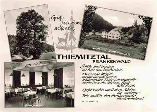 AK / Ansichtskarte  Bernstein_Wald_Schwarzenbach_Hof_Bayern Gasthaus Lorchenmuehle im Thiemitztal Alte Linde Gastzimmer