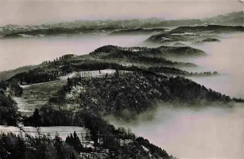 AK / Ansichtskarte  Uetliberg_uetliberg_ZH Blick vom Berghaus Udo Kulm