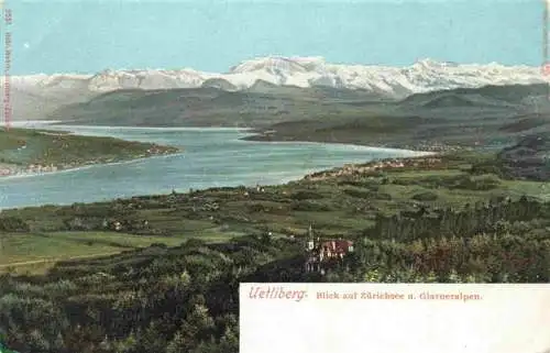 AK / Ansichtskarte  Uetliberg_uetliberg_ZH Panorama mit Zuerichsee und Glarneralpen