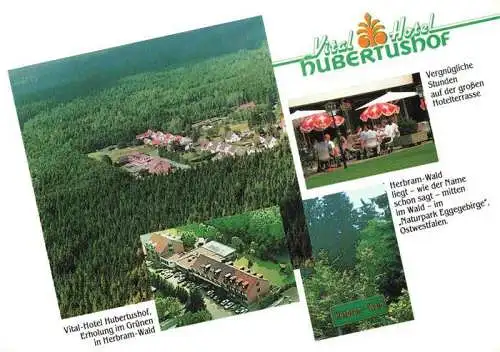 AK / Ansichtskarte  Herbram Vital Hotel Hubertushof Fliegeraufnahmen Hotelterrasse Naturpark