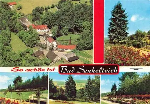 AK / Ansichtskarte  Bad_Senkelteich Fliegeraufnahme Park Kurklinik 