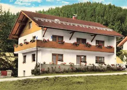 AK / Ansichtskarte  Bodenmais Gaestehaus Freimuth