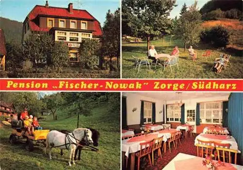 AK / Ansichtskarte 73988712 Zorge_Harz Pension Fischer Nowak Garten Ponykutsche Gastraum