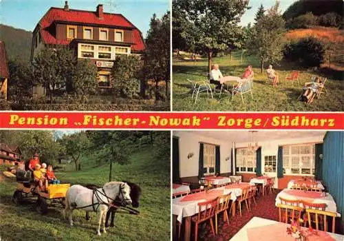 AK / Ansichtskarte  Zorge_Harz Pension Fischer Nowak Garten Ponykutsche Gastraum