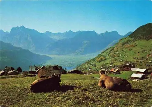 AK / Ansichtskarte  Amden_SG mit Glarneralpen