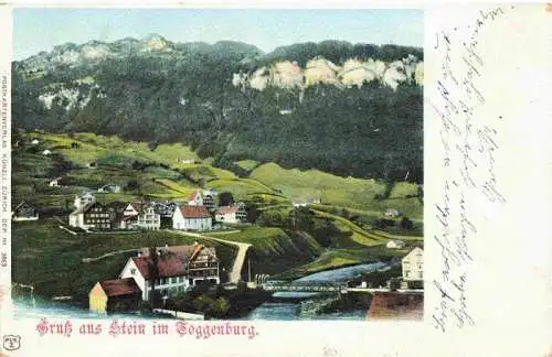 AK / Ansichtskarte  Stein_Toggenburg_SG Panorama