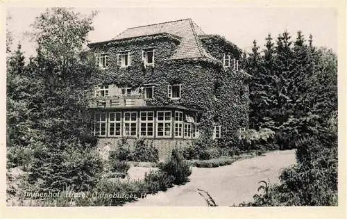 AK / Ansichtskarte  Huetzel_Bispingen_Lueneburger_Heide Immenhof