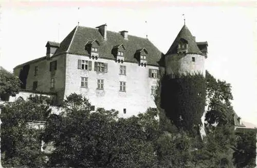 AK / Ansichtskarte  Gruyeres__Gruyere_Greyerz_FR Château Schloss