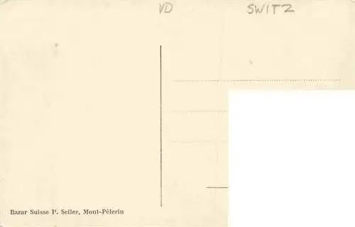 AK / Ansichtskarte  Mont-Pelerin_VD Panorama Berghotel
