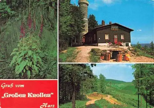 AK / Ansichtskarte 73989197 Herzberg_Harz Berggaststaette Grosser Knollen Panorama