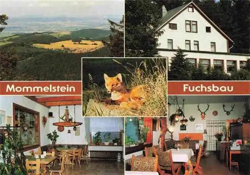 AK / Ansichtskarte  Brotterode Mommelstein Berggasthaus Zum Fuchsbau Gastraeume