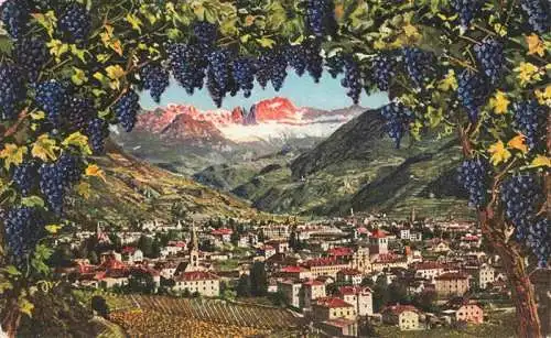 AK / Ansichtskarte  BOLZANO_Bozen_Suedtirol_IT Panorama