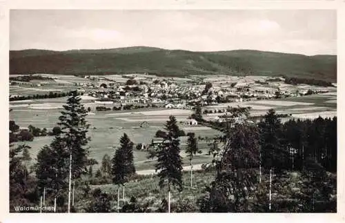 AK / Ansichtskarte  Waldmuenchen Panorama