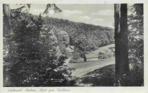 AK / Ansichtskarte  Arolsen_Bad Blick zum Fischhaus