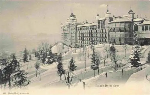 AK / Ansichtskarte  Caux_Montreux_VD Palace Hôtel en hiver