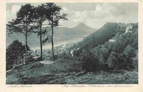 AK / Ansichtskarte  Bad_Schandau Blick zum Lilienstein