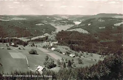 AK / Ansichtskarte  Baerental_Feldberg_Schwarzwald_BW Panorama mit Blick zum Titisee