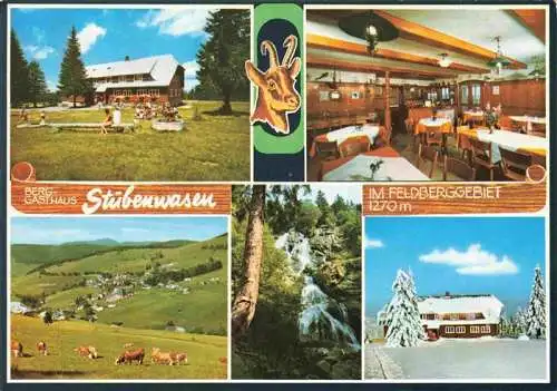 AK / Ansichtskarte 73989423 Todtnauberg Berggasthaus Stuebenwasen Gastraum Panorama Wasserfall