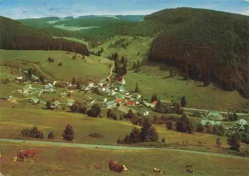 AK / Ansichtskarte  Muggenbrunn Panorama