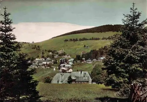 AK / Ansichtskarte  Todtnauberg Panorama