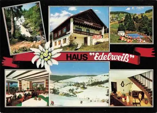 AK / Ansichtskarte 73989443 Todtnauberg Haus Edelweiss Gastraeume Wasserfall Schwimmbad Panorama