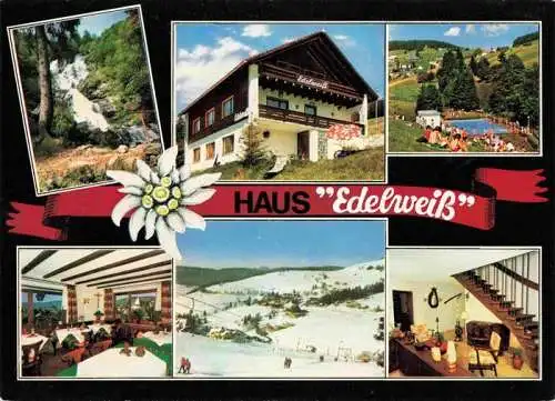 AK / Ansichtskarte  Todtnauberg Haus Edelweiss Gastraeume Wasserfall Schwimmbad Panorama