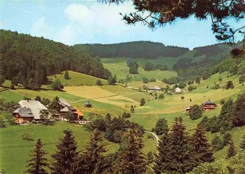 AK / Ansichtskarte  Rollsbach Cafe Pension Auerhahn Panorama