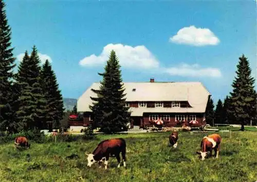 AK / Ansichtskarte  Stuebenwasen_Todtnauberg Berggasthaus Stuebenwasen